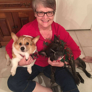 Cindy V., Pet Care Provider in Pompano Beach, FL with 3 years paid experience