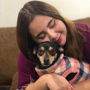 Karla T., Pet Care Provider in San Luis, AZ with 15 years paid experience