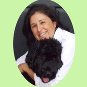 Liz N., Pet Care Provider in Charlotte, NC 28203 with 18 years paid experience