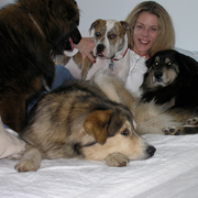 Karen G., Pet Care Provider in Friday Harbor, WA 98250 with 1 year paid experience