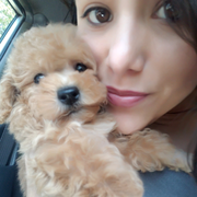 Stephanie R., Pet Care Provider in Miami, FL with 10 years paid experience