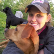 Amanda M., Pet Care Provider in Norman, IN 47264 with 3 years paid experience