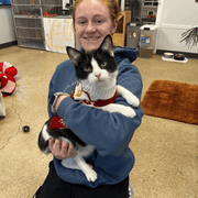 Kyra H., Pet Care Provider in Arlington Heights, IL with 5 years paid experience