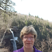 Diane P., Babysitter in Springfield, VT with 30 years paid experience