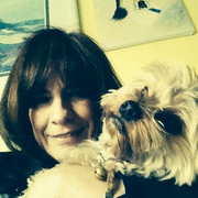 Sara B., Pet Care Provider in Granada Hills, CA 91344 with 10 years paid experience