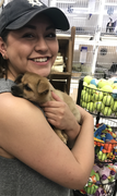 Kendra C., Pet Care Provider in Lubbock, TX 79406 with 2 years paid experience