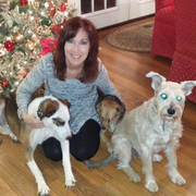 Mary D., Pet Care Provider in Naperville, IL with 8 years paid experience