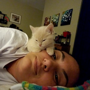 Laura S., Pet Care Provider in Little Rock, AR with 30 years paid experience
