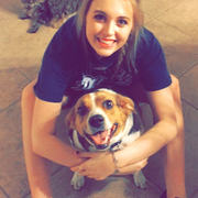 Shelby P., Pet Care Provider in Flower Mound, TX 75022 with 1 year paid experience