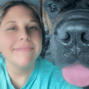 Sherrill M., Pet Care Provider in Taunton, MA with 15 years paid experience
