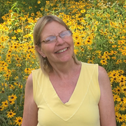 Theresa M. - Downers Grove Babysitter
