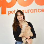 Laura V., Pet Care Provider in Fairfield, CT with 1 year paid experience