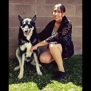 Danielle M., Pet Care Provider in Rio Rancho, NM 87124 with 6 years paid experience