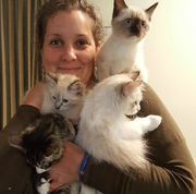 Laura L., Pet Care Provider in Winchester, NH 03470 with 16 years paid experience