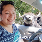 Gloria M., Babysitter in Renton, WA with 10 years paid experience