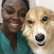 Lakeisha G., Pet Care Provider in West Palm Beach, FL with 7 years paid experience