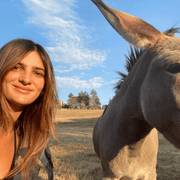 Juliette P., Nanny in Santa Monica, CA with 8 years paid experience