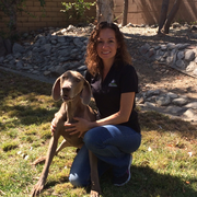Amber J., Pet Care Provider in Claremont, CA 91711 with 10 years paid experience