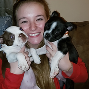 Taylor W., Pet Care Provider in Shelby, OH 44875 with 3 years paid experience