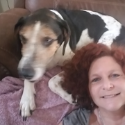Judee M., Pet Care Provider in Petaluma, CA 94954 with 5 years paid experience