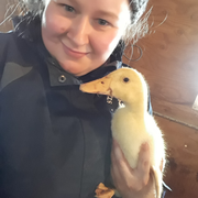 Stacy C., Pet Care Provider in Bristol, CT with 11 years paid experience