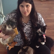 Cassandra P., Pet Care Provider in Warren, RI with 1 year paid experience