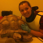 Stephanie W. - Holtsville Pet Care Provider