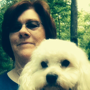 Brenda S., Pet Care Provider in New Iberia, LA 70563 with 4 years paid experience