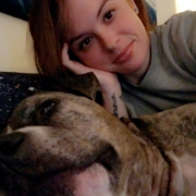 Kaytlyn N. - El Dorado Hills Pet Care Provider