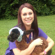 Anna L., Pet Care Provider in New Castle, IN with 8 years paid experience