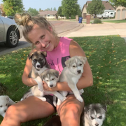 Anni C., Pet Care Provider in Scottsdale, AZ with 3 years paid experience