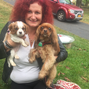 Kerri M. - Whitestone Babysitter
