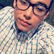 Daniel C. - Mesa Babysitter
