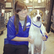 Kaela B., Pet Care Provider in Haskins, OH 43525 with 8 years paid experience
