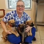 Patricia R., Pet Care Provider in Stroudsburg, PA 18360 with 13 years paid experience
