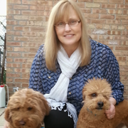 Nancy B., Pet Care Provider in Oak Lawn, IL 60453 with 5 years paid experience