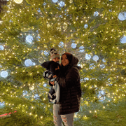 Darlene R., Babysitter in Ashland, MA with 10 years paid experience