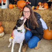Katie M., Pet Care Provider in Arlington, VA with 1 year paid experience