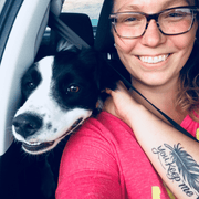 Kendra B., Pet Care Provider in Cabool, MO with 10 years paid experience