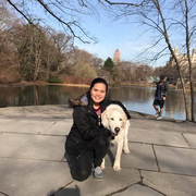 Kathleen D., Pet Care Provider in Bronx, NY with 1 year paid experience
