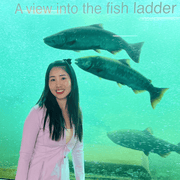 Wisuda B., Child Care Provider in 60098 with 12 years of paid experience