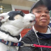 Susan B., Pet Care Provider in Watertown, MA with 10 years paid experience