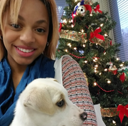 Brianna H., Pet Care Provider in Memphis, TN 38141 with 4 years paid experience