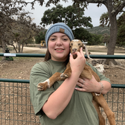 Danielle D., Pet Care Provider in Willis, TX with 3 years paid experience