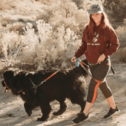 Morgan W., Pet Care Provider in Albuquerque, NM 87110 with 5 years paid experience