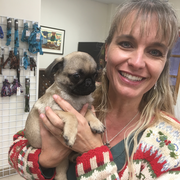 Donna H., Pet Care Provider in Harlingen, TX 78550 with 2 years paid experience