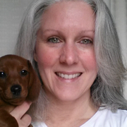 Debbie M. - Belgrade Babysitter