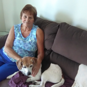 Arlene M., Pet Care Provider in Hendersonville, NC 28791 with 10 years paid experience