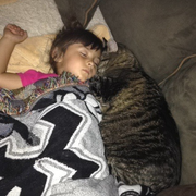 Jennifer C. - New Lenox Pet Care Provider