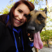 Brandie V., Pet Care Provider in Nottingham, NH 03290 with 8 years paid experience